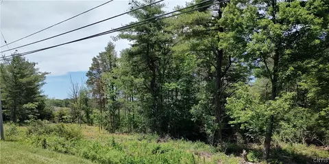 00 Dryden Rd, Dryden, NY 13053