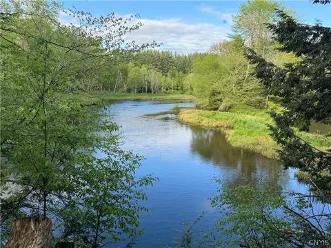 465 Farr Rd, Ohio, NY 13338