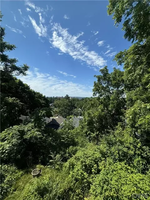 127 Spring St, Syracuse, NY 13208 photo 33