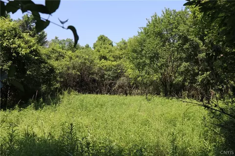 lot1 Mcdonald Rd, Onondaga, NY 13215