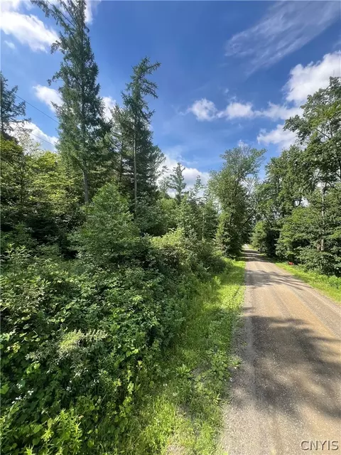 316 Bardin Rd, New Lisbon, NY 13810
