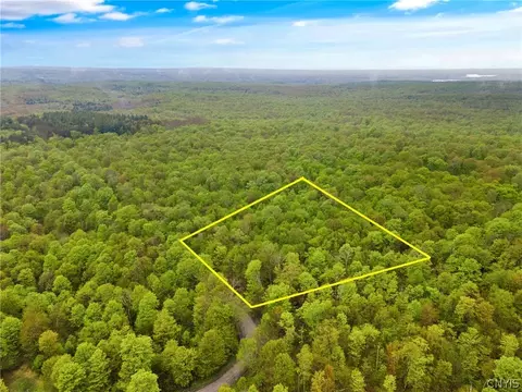 lot11 Potter Rd, Osceola, NY 13437