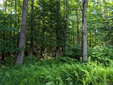 00 Number Four Rd, Watson, NY 13367