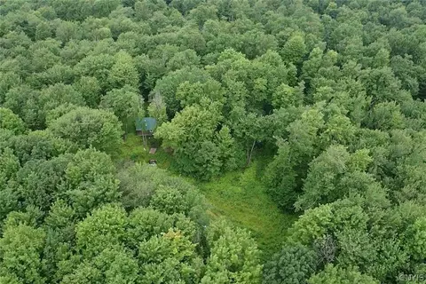 1021 Lewis Rd, West Union, NY 14877