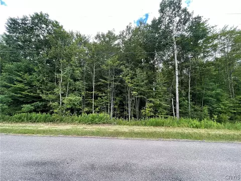 289 Oliver Rd, Lisle, NY 13797
