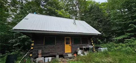 00 Downey Rd, Caroline, NY 14817