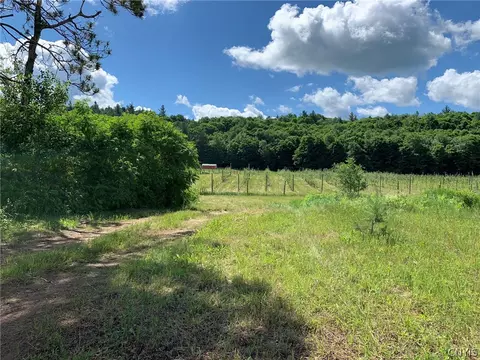 646 State Highway 3, Pitcairn, NY 13648