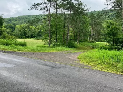 00 Roods Creek Rd, Deposit, NY 13754