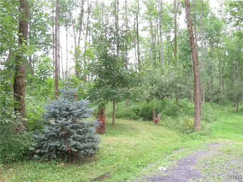 319 Pine Bush Rd, German Flatts, NY 13407 photo 8