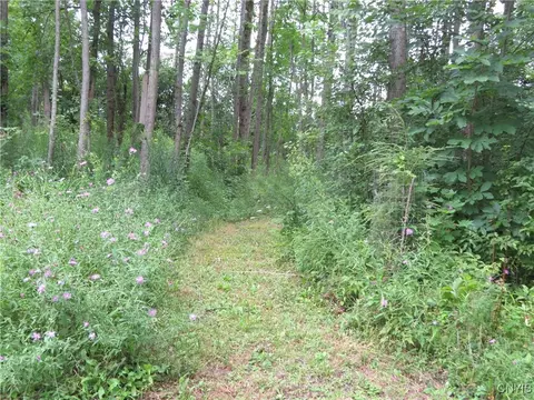 319 Pine Bush Rd, German Flatts, NY 13407 photo 6