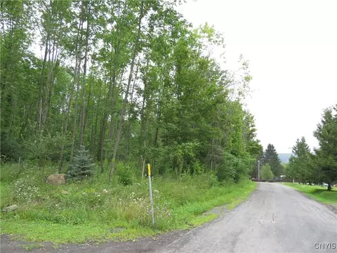 319 Pine Bush Rd, German Flatts, NY 13407 photo 3