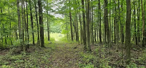 00 Reservoir Hill Rd, Candor, NY 13743