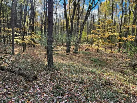 00 Wolf Creek Rd, Clarksville, NY 14727