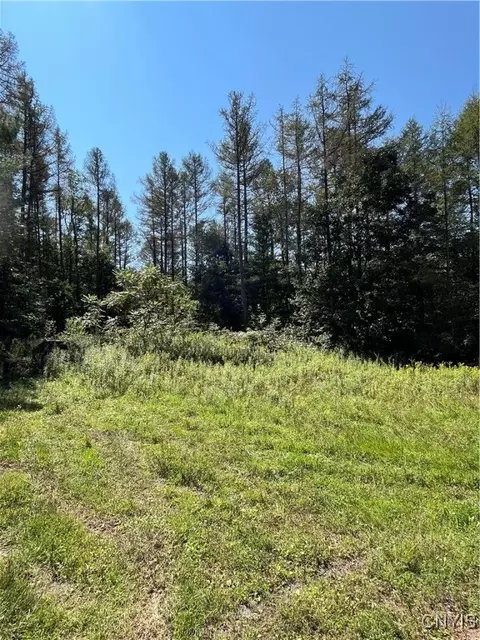 0 Hauck Hill Rd, Virgil, NY 13045