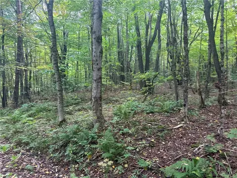 lot1 Bice Rd, Worth, NY 13659