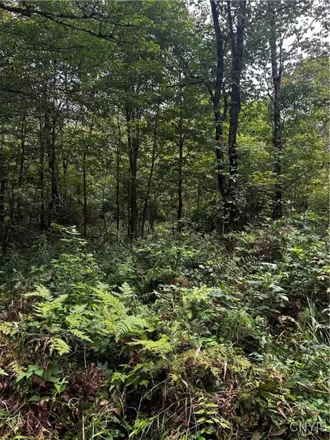 00 Abes Dr, Redfield, NY 13437