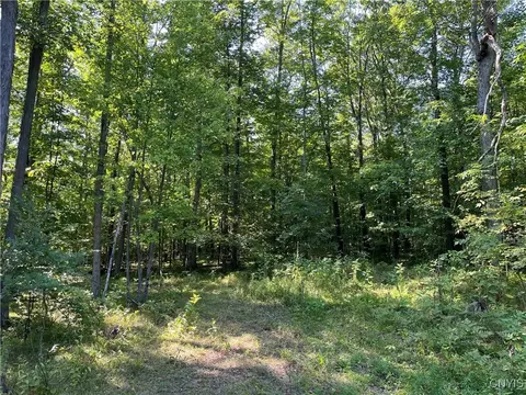00 England Hill Rd, Grove, NY 14884