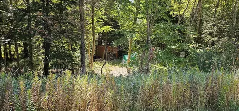 4448 Osceola Rd, Lewis, NY 13489
