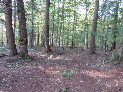 lot59 Cayuga Rd, Webb, NY 13420