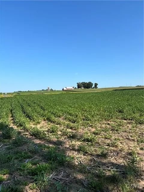 0 Paris Rd, New Hartford, NY 13413