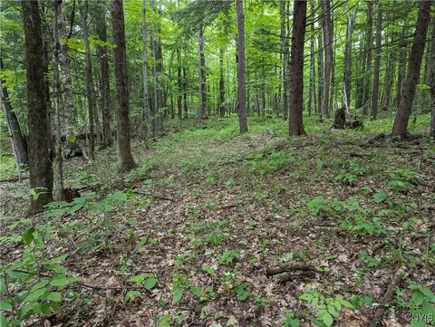 lot Apt 7 Hemlock Dr, Watson, NY 13367