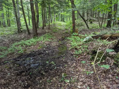 lot Apt 27 Maple Ave, Watson, NY 13367