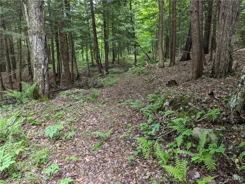 lot Apt 28 Maple Ave, Watson, NY 13367