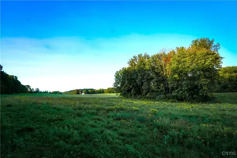 lot1 Shants Rd, Elbridge, NY 13080