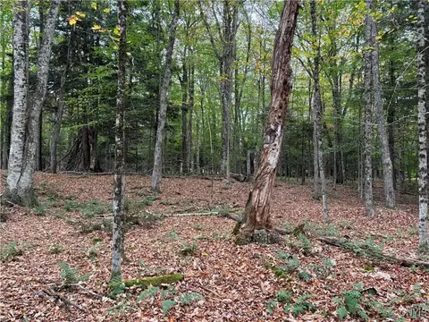 0 Deer Mdws, Webb, NY 13420 photo 3