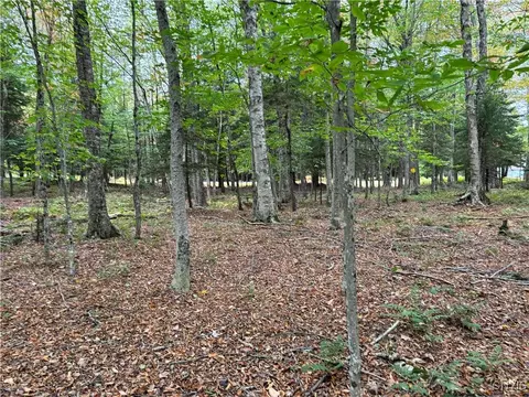 0 Deer Mdws, Webb, NY 13420 photo 4