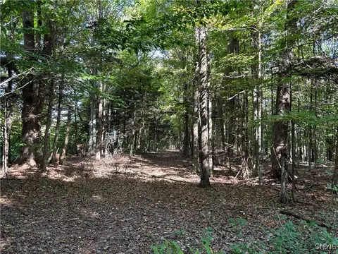 00 Pronevitch Rd, Western, NY 13486