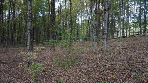 0 Mc Caw Rd, Redfield, NY 13493