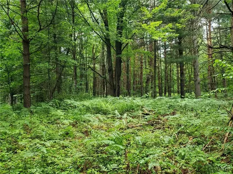 000 Mattis Rd, New Bremen, NY 13367