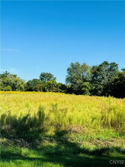 lot4 A Carpenter Ave, Groton, NY 13073