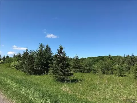 lot4 Keyser Rd, Le Ray, NY 13637
