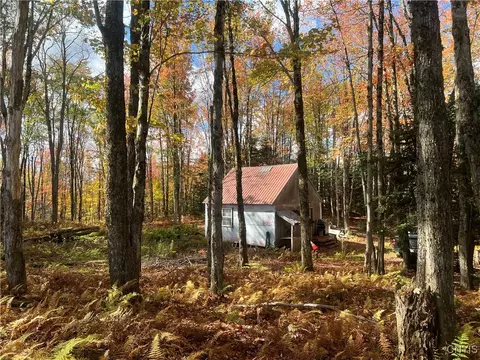 1860 Fish Creek Rd, Lewis, NY 13489
