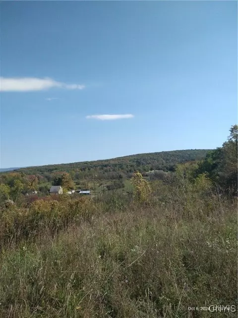 1978 Wytrwa Rd, Orange, NY 14812