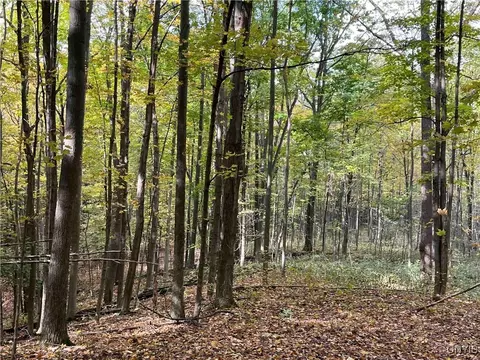 00 E Swamp Rd, Conesus, NY 14435 photo 5