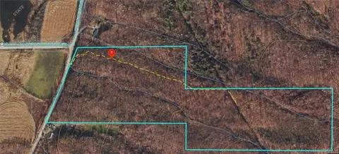 00 E Swamp Rd, Conesus, NY 14435 photo 7
