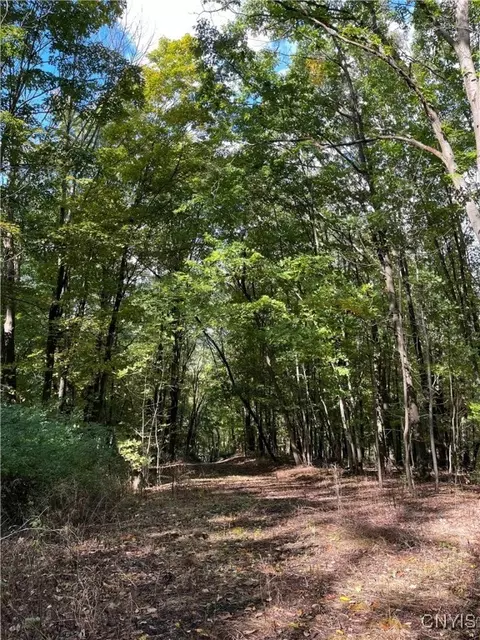 00 E Swamp Rd, Conesus, NY 14435 photo 3