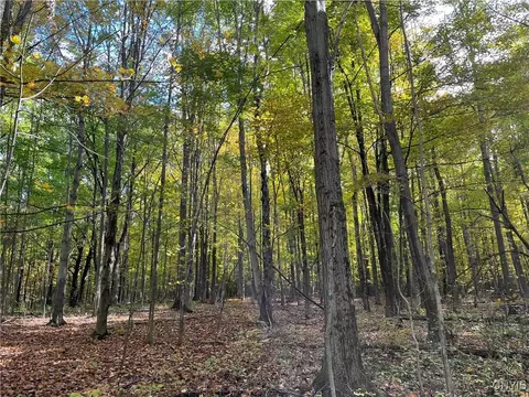 00 E Swamp Rd, Conesus, NY 14435 photo 16