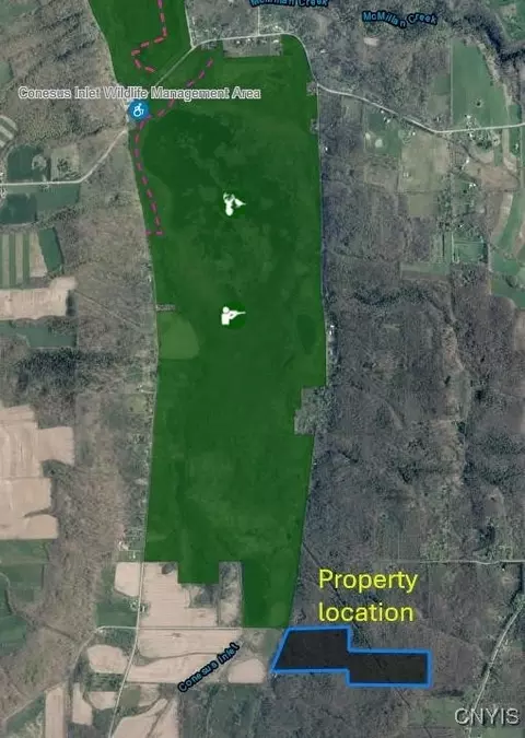 00 E Swamp Rd, Conesus, NY 14435 photo 21