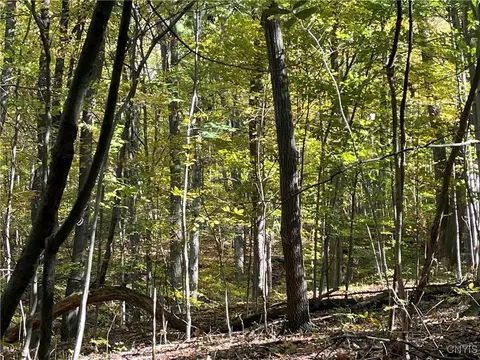 00 E Swamp Rd, Conesus, NY 14435 photo 6