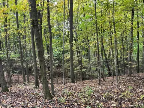 00 E Swamp Rd, Conesus, NY 14435 photo 15