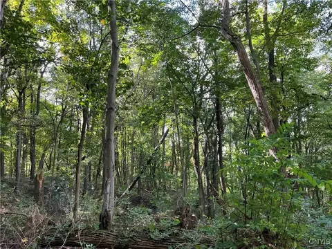 00 E Swamp Rd, Conesus, NY 14435 photo 8