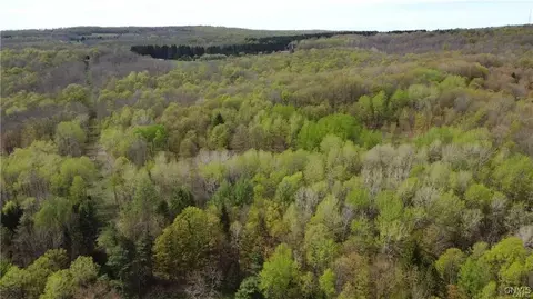 4545 Sportsman Club Rd, Solon, NY 13040