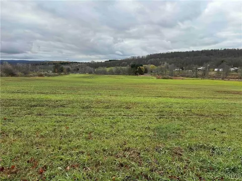 Dry Brook Road, Ellington, NY 14733