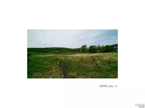 0 Route 392, Virgil, NY 13045