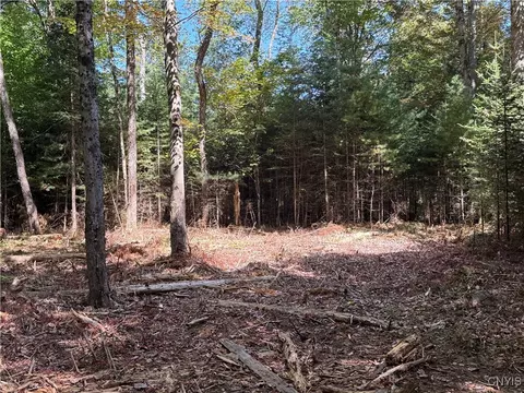 lot Apt 1 Beaver Trl, Boonville, NY 13301