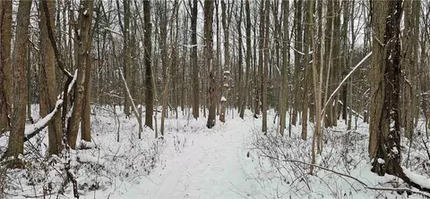 8424 Ny-104a #A, Wolcott, NY 14590